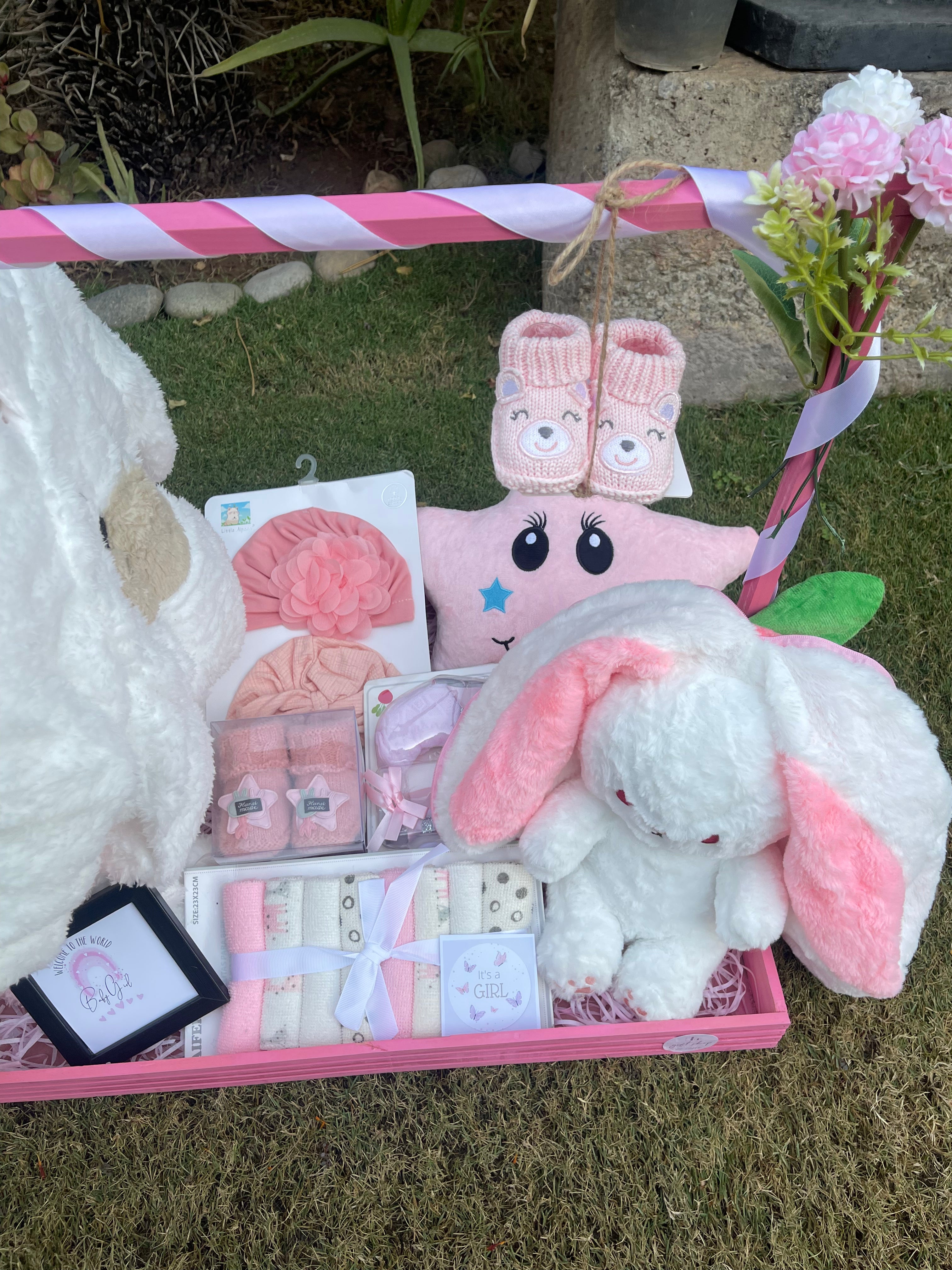 Premium Baby Girl Welcome Basket Premium Baby Girl Welcome Basket