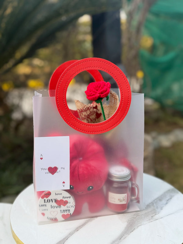 Red Gift Bag for Her