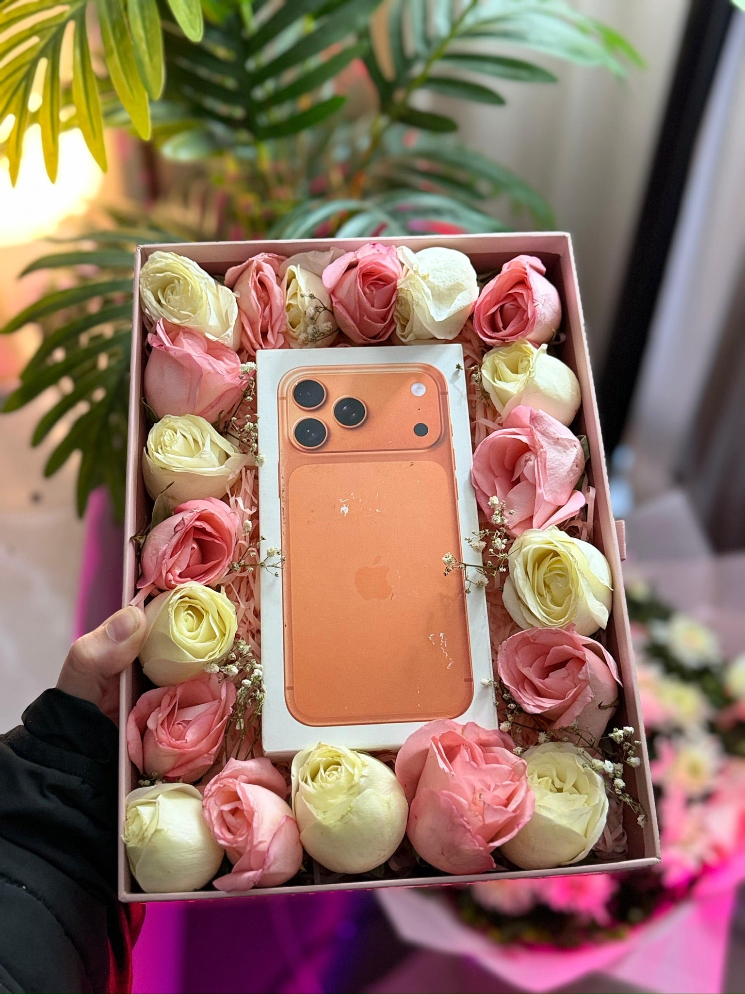 Iphone 17promax