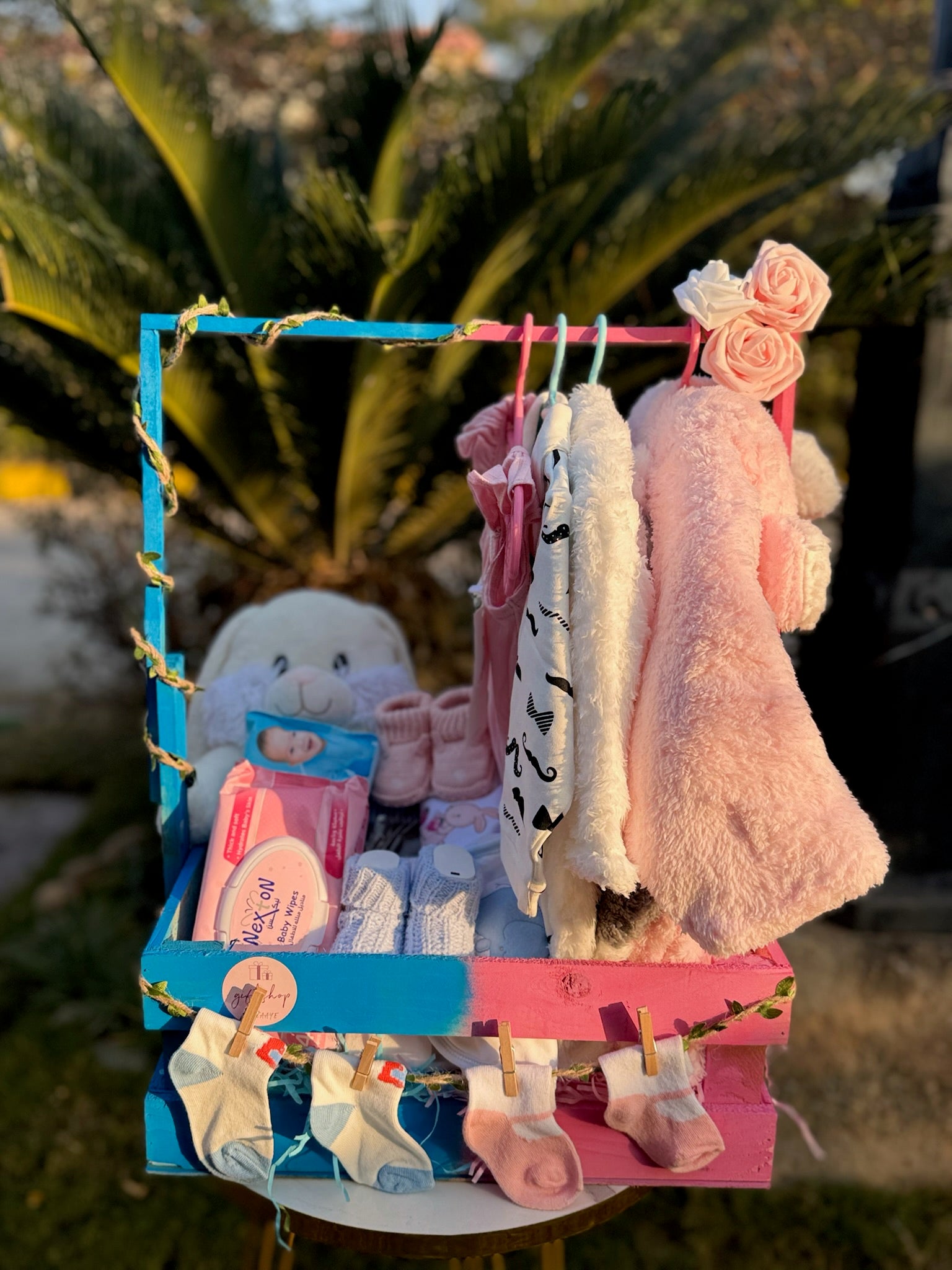 Twins Newborn Hamper