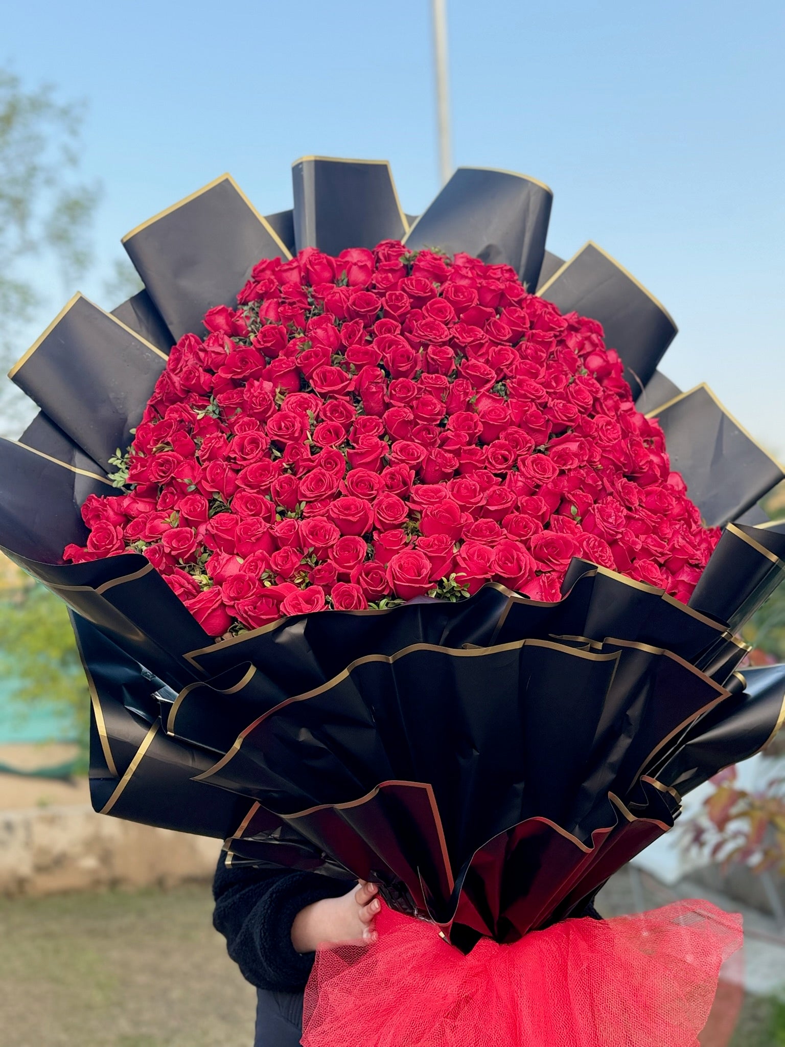 Huge 7 Feet Red Roses Bouquet