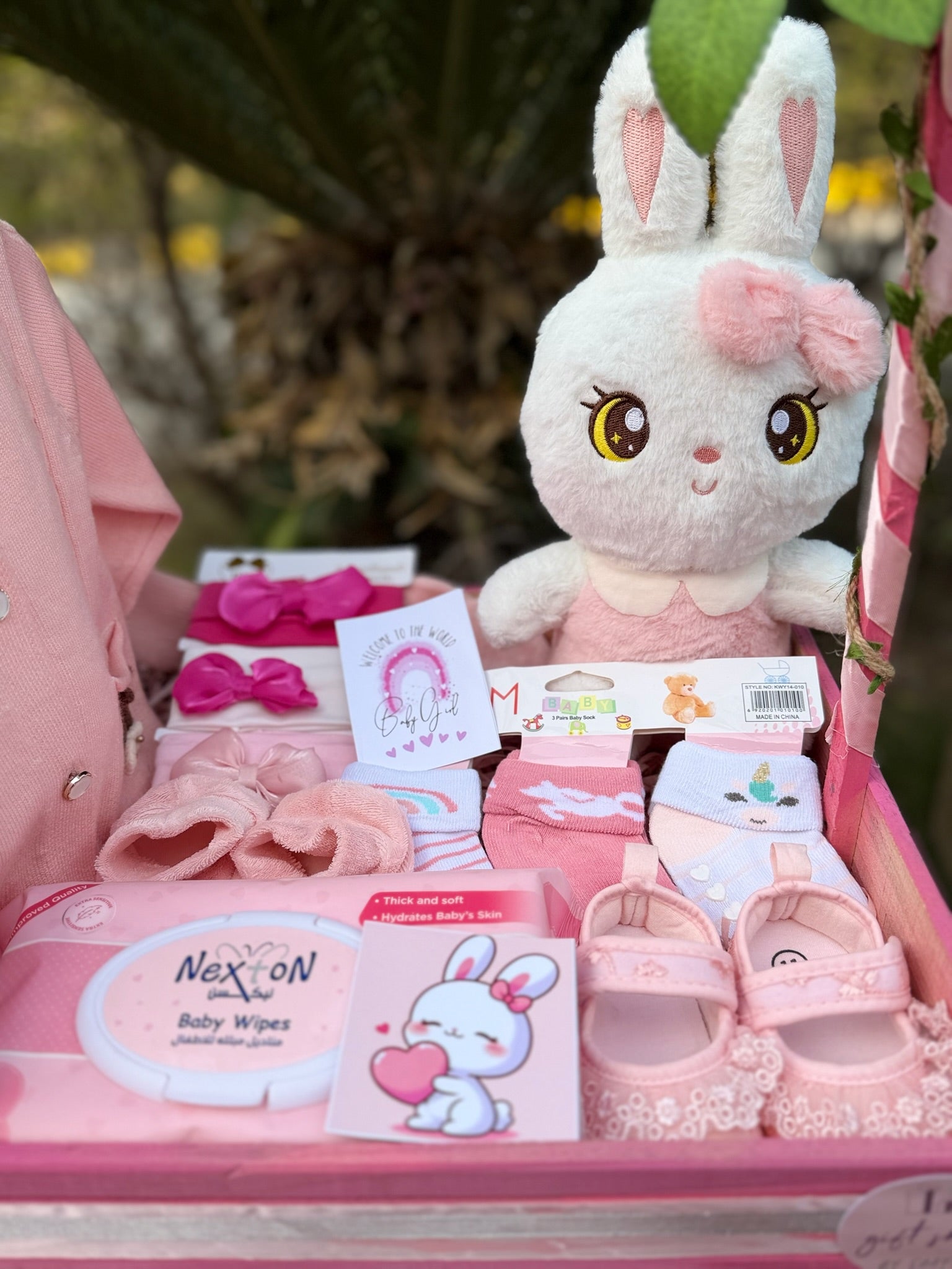 Baby Girl Basket