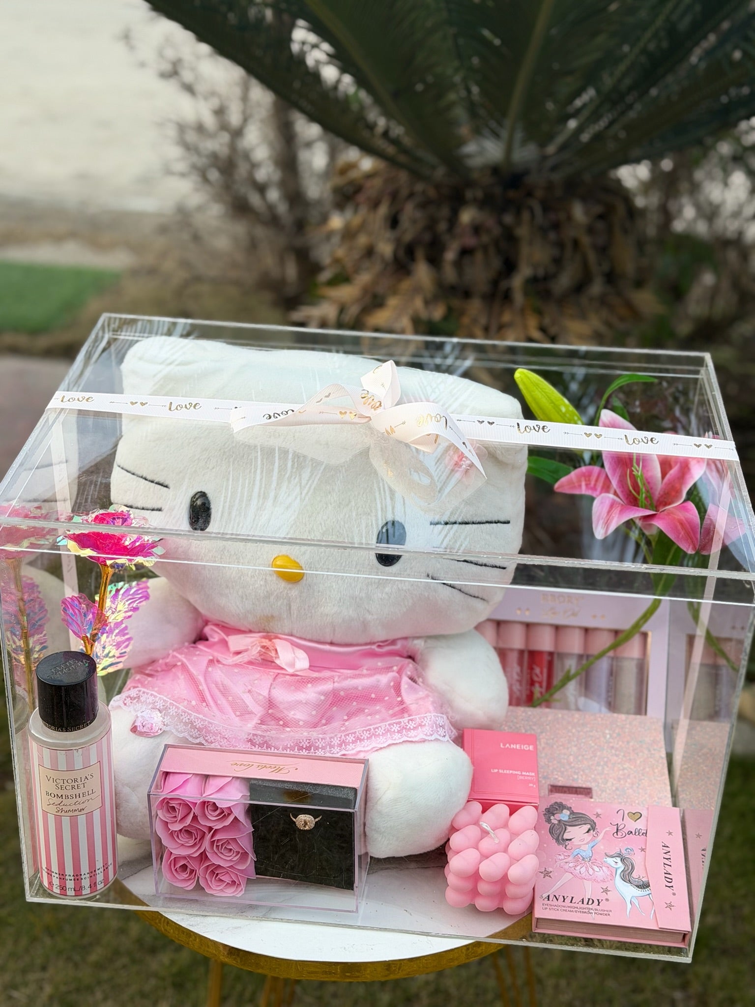 Pink Acrylic Hamper