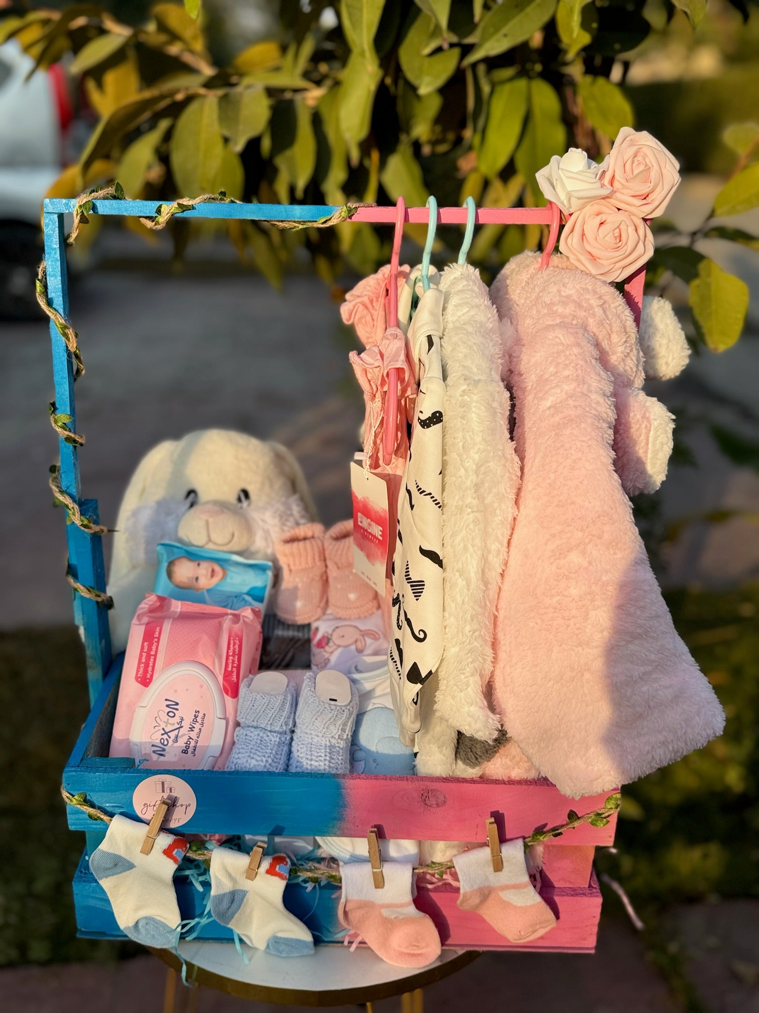 Twins Newborn Hamper