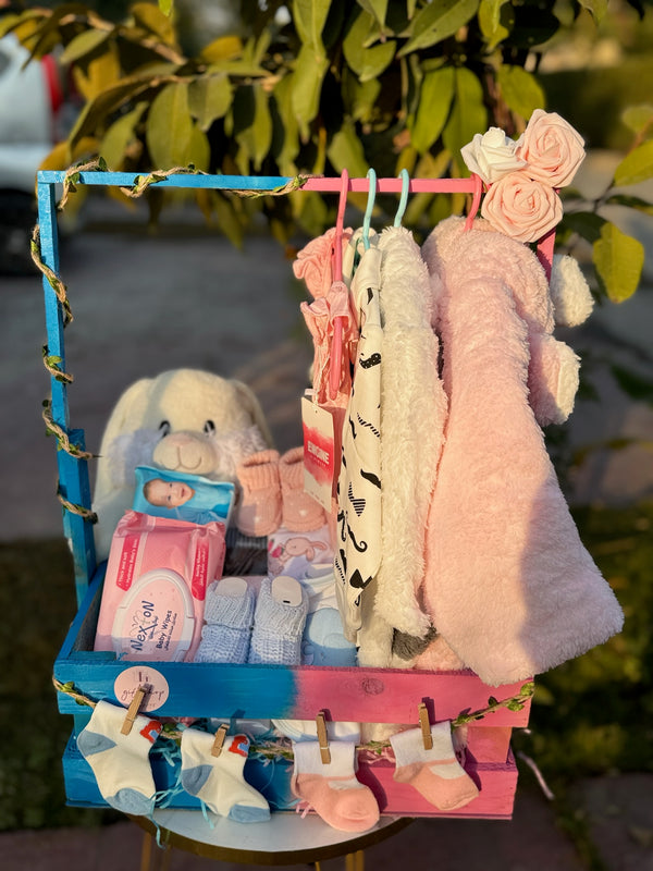 Twins Newborn Hamper