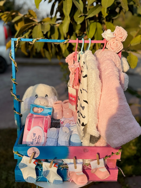 Twins Newborn Hamper