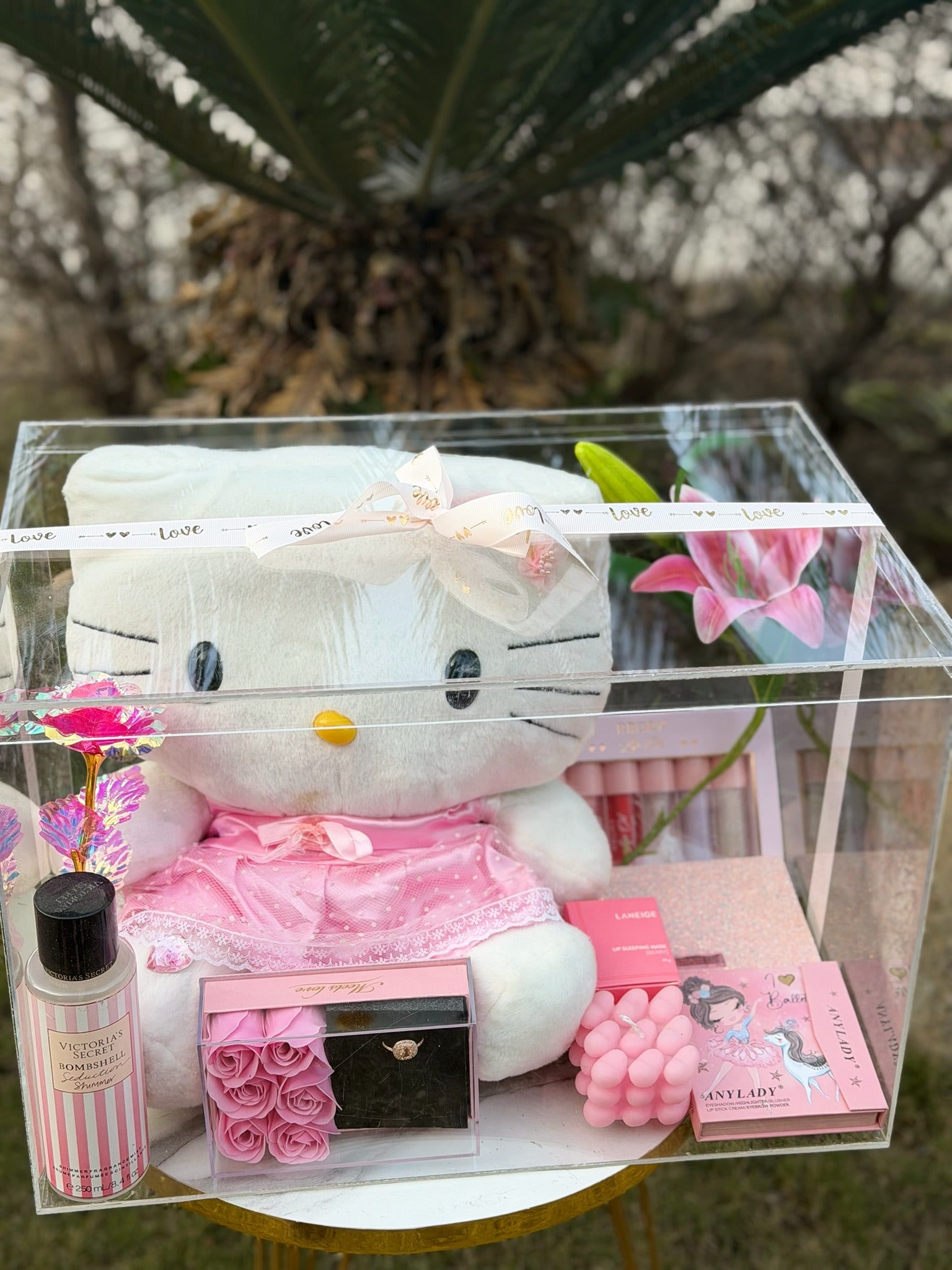 Pink Acrylic Hamper