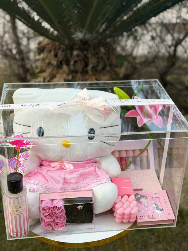 Pink Acrylic Hamper