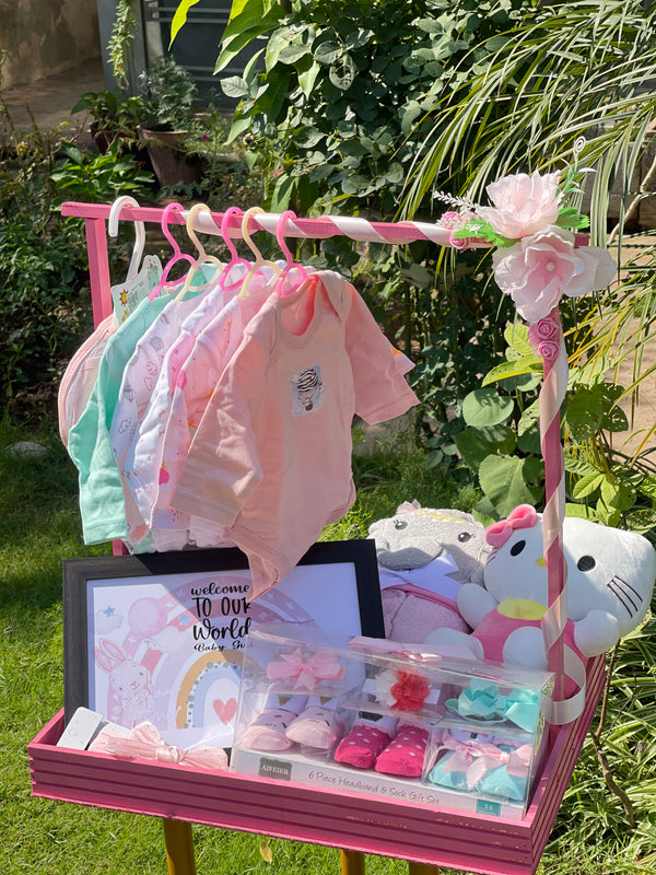 Deluxe Baby Girl Welcome Gift Basket