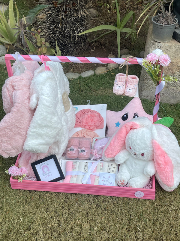 Premium Baby Girl Welcome Basket